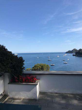 Foto Attico in affitto a Santa Margherita Ligure