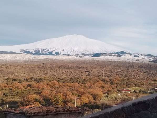 Foto Attivit  commerciale artigianale panificio e pastificio