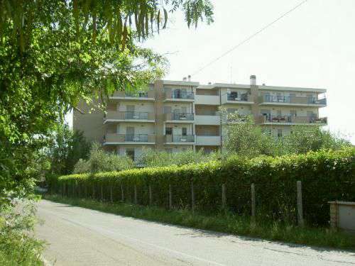 Foto bellissimo appartamento