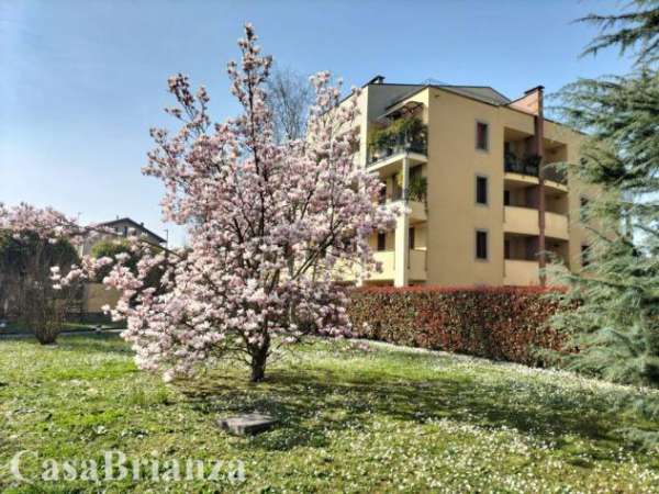 Foto Biassono zona parco ampio bilocale arredato con terrazzo