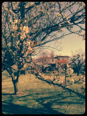 Foto Bilocale a due passi dal centro da Gennaio 2026