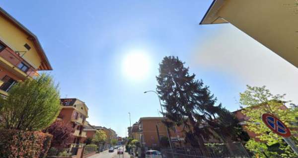 Foto BILOCALE CON CANTINA E TERRAZZO-CESANO BOSCONE