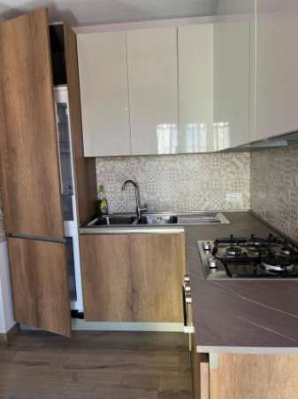 Foto Bilocale in affitto a Castel Frentano