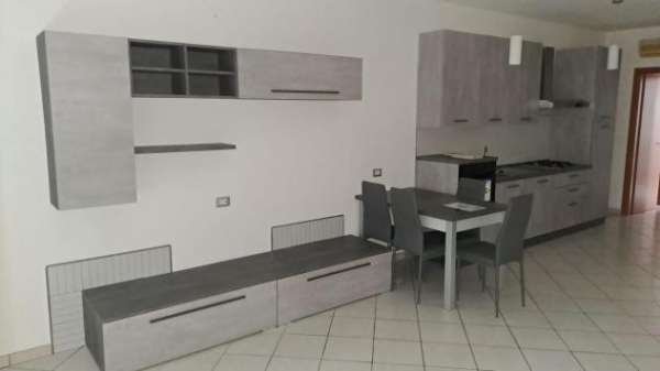 Foto Bilocale in affitto a Ficarolo