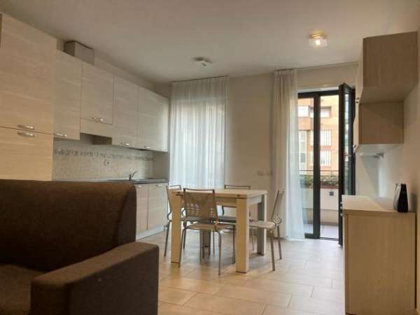 Foto Bilocale in affitto a Gallarate