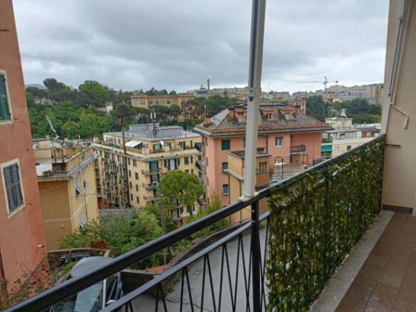 Foto Bilocale in affitto a Genova
