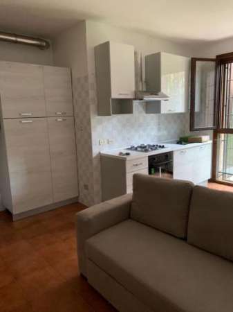Foto Bilocale in affitto a Mirandola