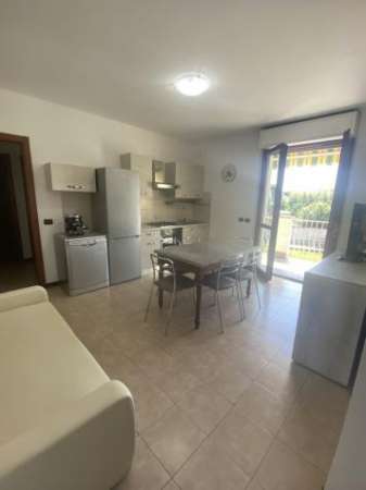 Foto Bilocale in affitto a Novara