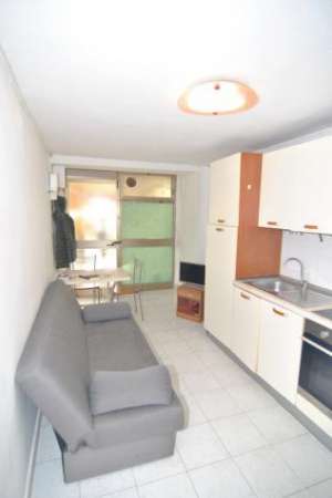 Foto Bilocale in affitto a Pisa