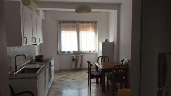 Foto Bilocale in affitto zona TIbaldi
