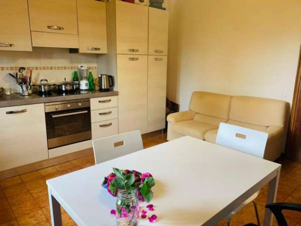 Foto BILOCALE RISTRUTTURATO, M2 50, ARCIDOSSO (GR)