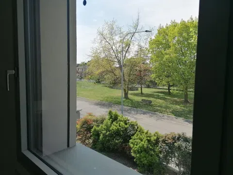 Foto Bilocale zona campus appena ristrutturato