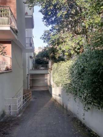 Foto box Roma Citt  Giardino affittasi, no agenzie
