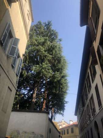 Foto Camera in Pavia centro a due passi dall�Universita�