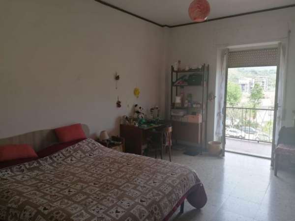 Foto Camera singola ammobiliata per studentessa