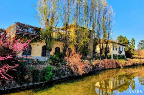 Foto Camera singola tutto compreso Milano M2 comoda Citt  Studi