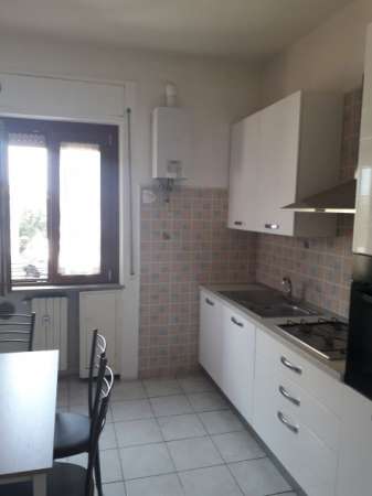 Foto Camere in affitto per universitarie