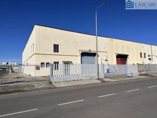 Foto Capannone - Rif. 2666