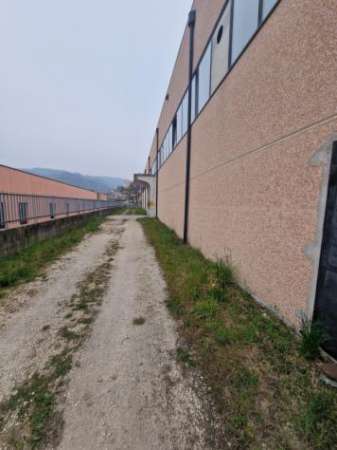 Foto Capannone a Vestenanova - Rif. A742