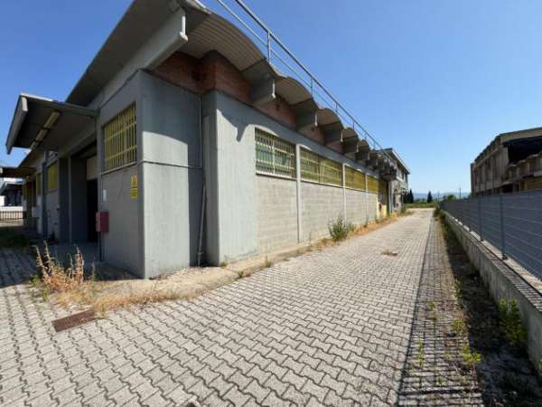 Foto Capannone artigianale in affitto a Marcignana - Empoli 550 mq  Rif: 1330955