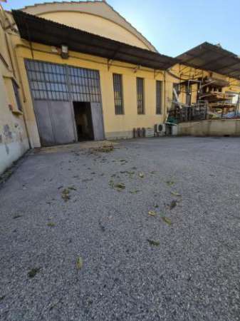 Foto CAPANNONE di 200 mq (MONTALE - montale) rif. CA-FG