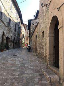 Foto Capannone in Affitto, 180 mq, Assisi