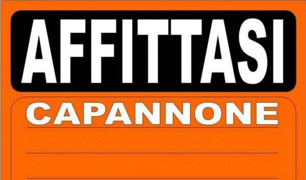 Foto CAPANNONE IN AFFITTO ZONA OUTLET