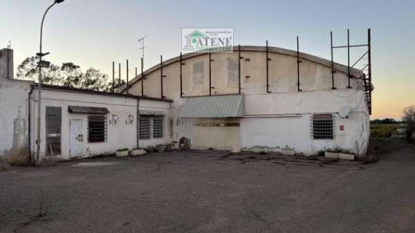 Foto Capannone Industriale - Sestu . Rif.: 839