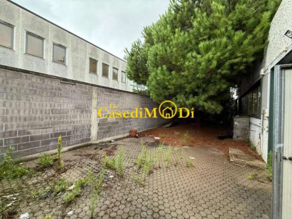 Foto Capannone industriale in affitto a Livorno 220 mq  Rif: 1346706