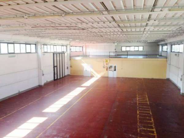 Foto Capannone industriale in affitto a Pisa 1254 mq  Rif: 648156