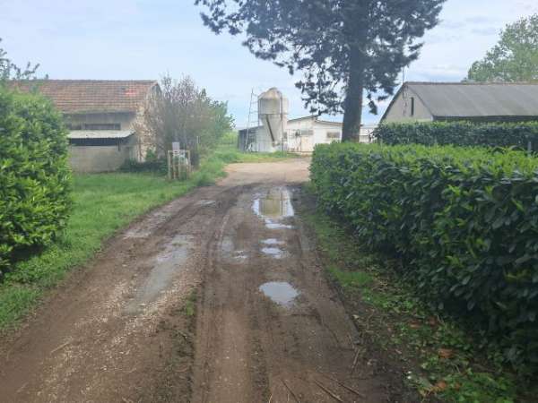Foto capannoni/stalle