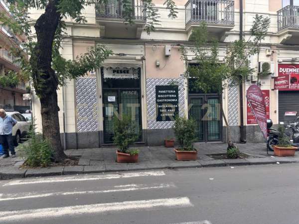 Foto Casa indipendente in affitto a Catania