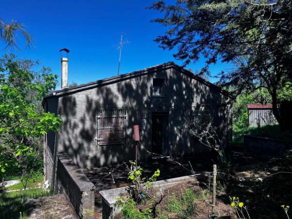Foto Casa indipendente in affitto a Montagano