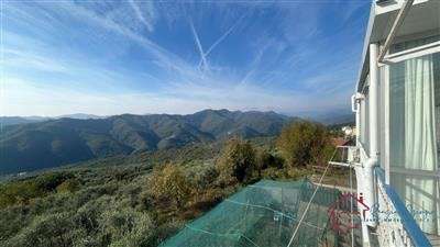 Foto Casa Semi-indipendente in Affitto a Onzo