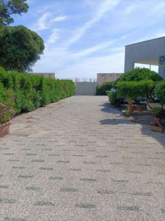 Foto Casetta al piano rialzato sul lungomare di San Cataldo di Lecce