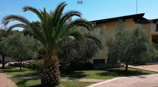 Foto CASTEL DI LEVA BILOCALE CON GIARDINO E POSTO AUTO