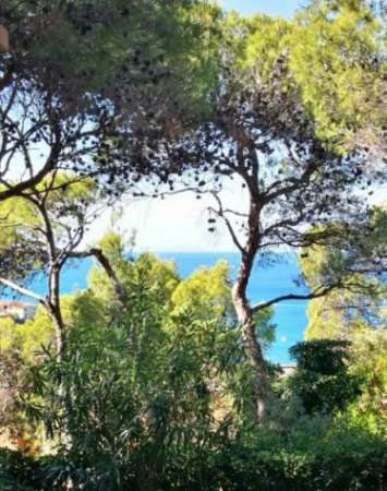 Foto Castiglioncello in pineta alta  vista mare
