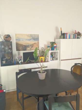 Foto CERCO COINQUILINO PER BILOCALE IN AFFITTO ZONA SAFFI