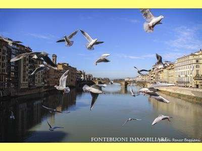 Foto COMMERCIALE - PIAZZA DEL DUOMO-PIAZZA DELLA SIGNORIA
