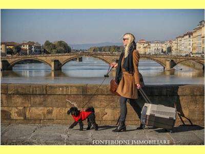 Foto COMMERCIALE - PIAZZA PITTI-PONTE VECCHIO-COSTA SAN GIORGIO