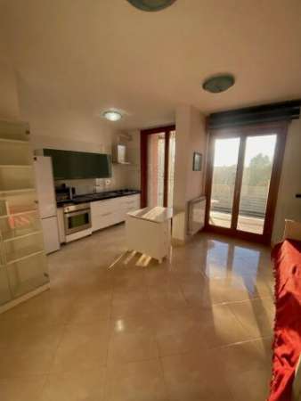 Foto EUR PAPILLO MONOLOCALE CON BOX AUTO