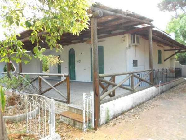 Foto forio piccolo appartamento