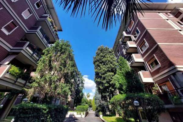 Foto Fossato Di Vico