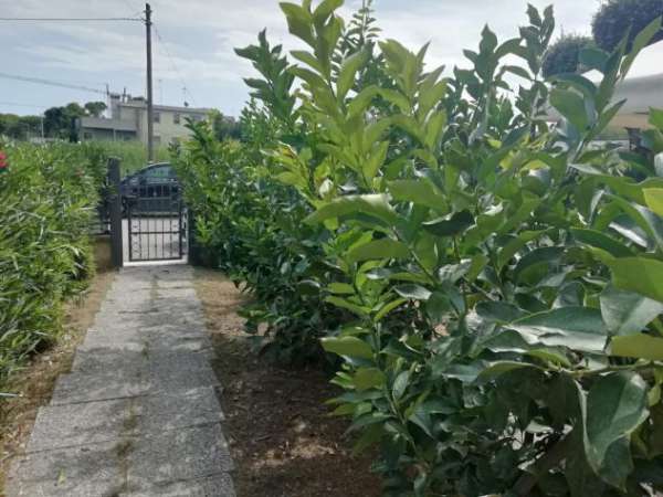 Foto Giulianova mare con giardino