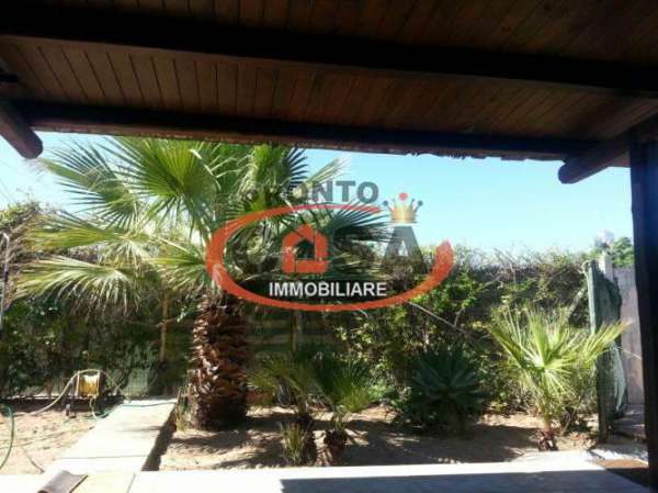 Foto Immobile residenziale in affitto a Marsala