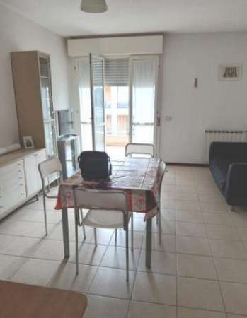 Foto in affitto appartamento nuova darsena mq50 numero localidue