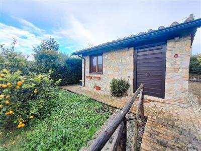 Foto Indipendente a Amelia