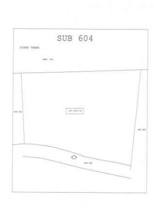 Foto Industriale in affitto a Collesalvetti