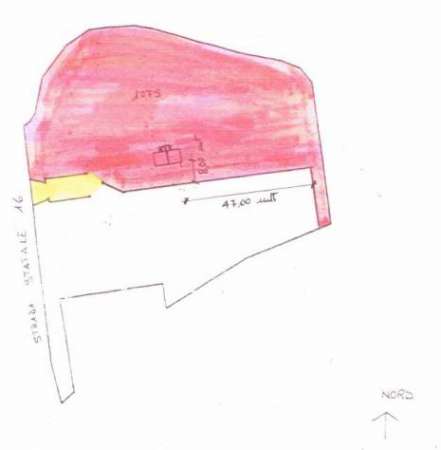 Foto Industriale in affitto a San Benedetto del Tronto