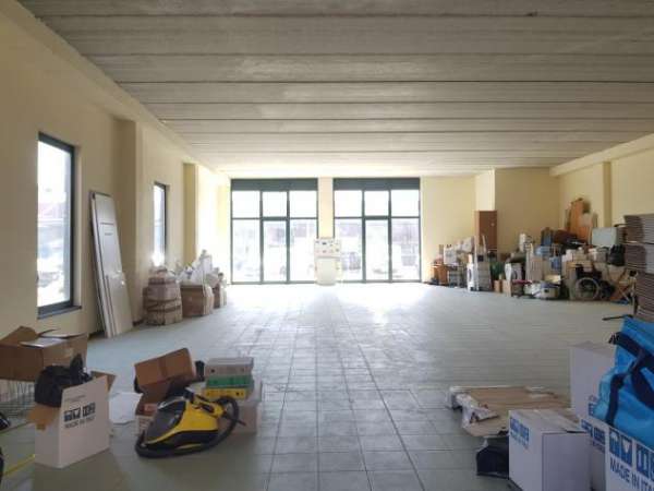 Foto Industriale/Artigianale in affitto a Lucca